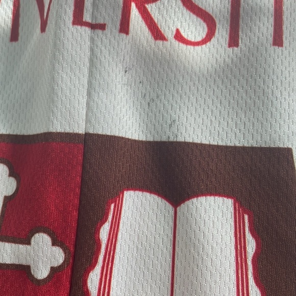 COPY - Louis Garneau St. Lawrence (SLU)Bike Jersey - Picture 7 of 9